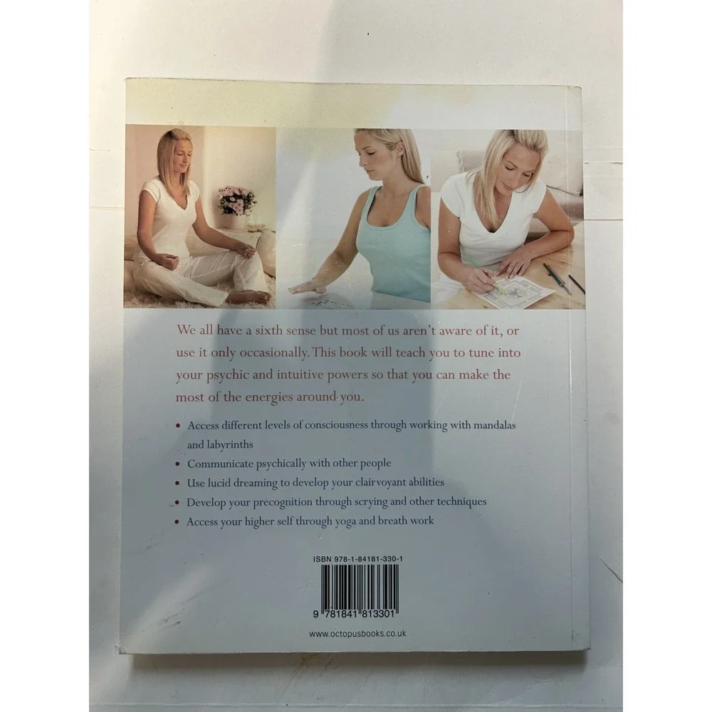 Working With: Your Sixth Sense: Practical Ways to... by Theresa Cheung Paperback